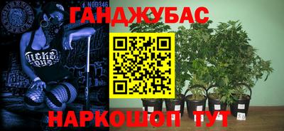 сатива Ликино-Дулёво