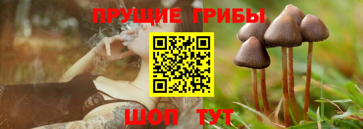 Галлюциногенные грибы GOLDEN TEACHER Калининград